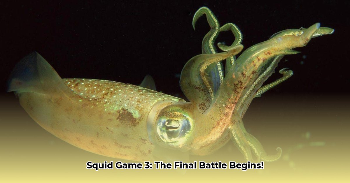 squid-game-3-streaming